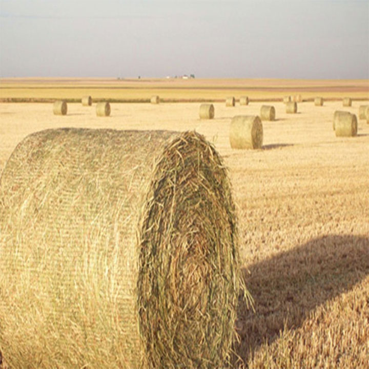 Rete avvolgente per balle biodegradabili in HDPE per l'agricoltura